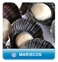 Proyecta Corp - Mariscos